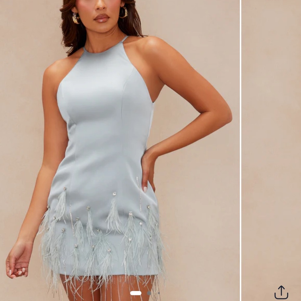 Fashion Nova Slate Blue, Mini, Feather Dress